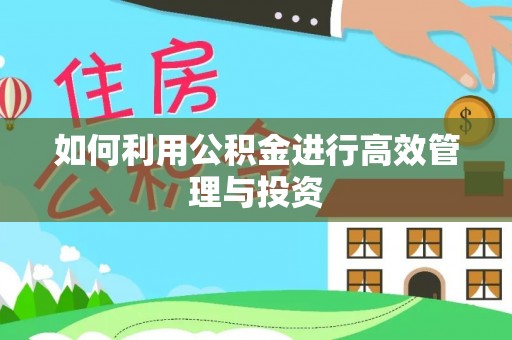 花垣如何利用公积金进行高效管理与投资