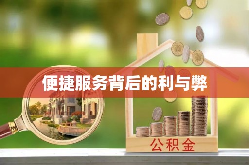 花垣便捷服务背后的利与弊