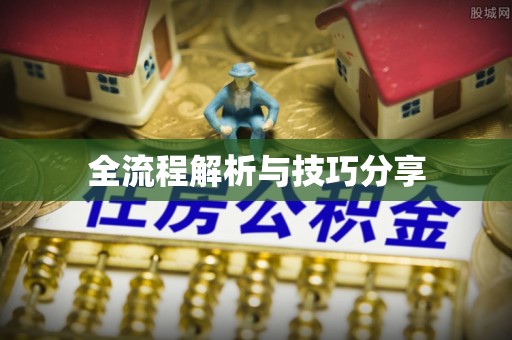花垣全流程解析与技巧分享